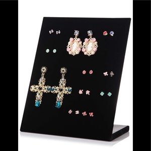 Earring Organizer